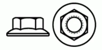 Hex Flange Nut